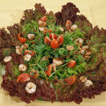 Salata od morskih kozica