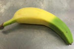 zuto-zelena-banana